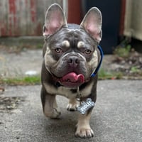 Dudley
