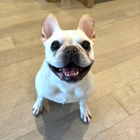 Wilbur
