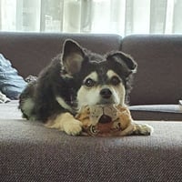 Luna