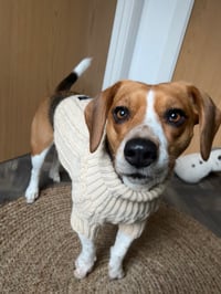 Nova