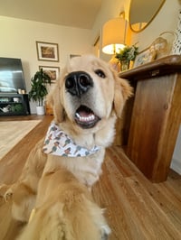 Bowie