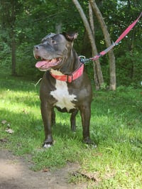 Roxie