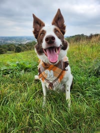 Max