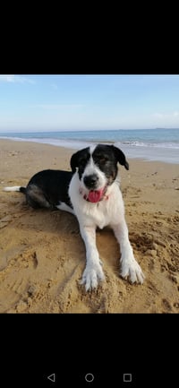 Sheila