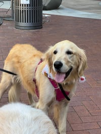 Zoe