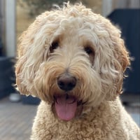 Sam