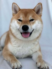 Nala