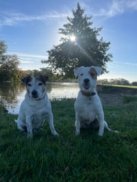 Fudge & Philly