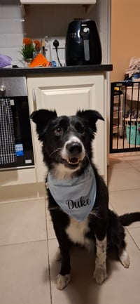 Duke