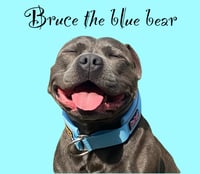 Bruce