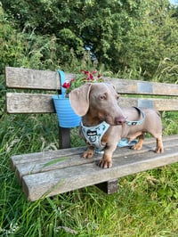 Pablo