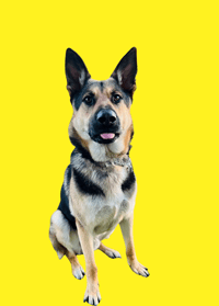 Max