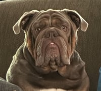 Mack