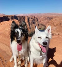 Atlas & Hya