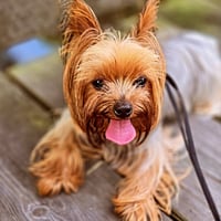 Bella