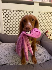 Tilly