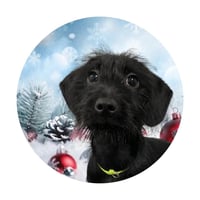 Alfie