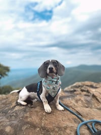 Blu