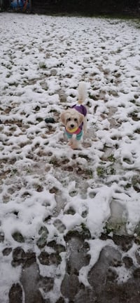 Skye
