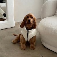 Alfie