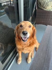 Tasha