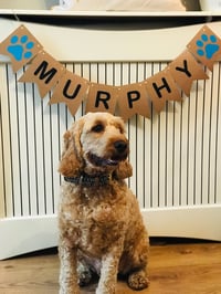 Murphy