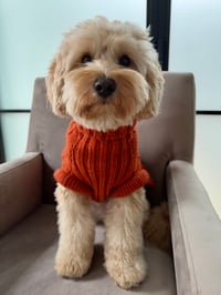 Sammie