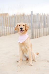 Nala