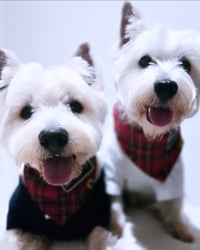 BAILEY & HAILEY