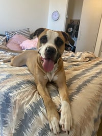 Narla