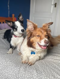 Max & Fern