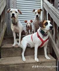 Lola, Hank, Sug and Frances