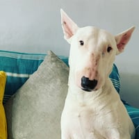 Betty