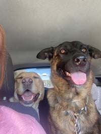 Nova & Lexi