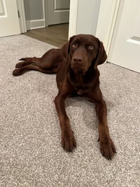 Remington, goes by "Remi"