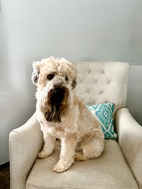 Quincy
