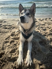 Luke