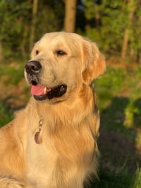 Odin
