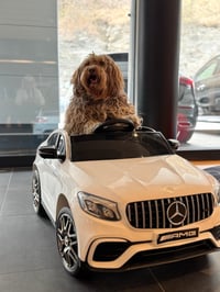 Diva