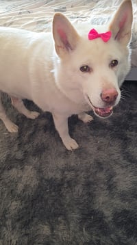 Mya