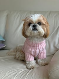 Daisy