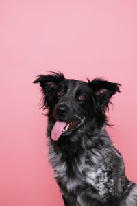 Winnie