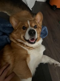 Peanut