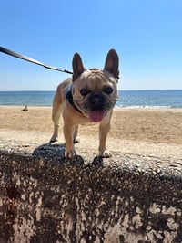 Wallace