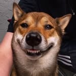 Kota