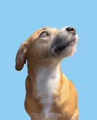 Kairo