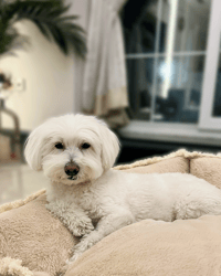 Casper