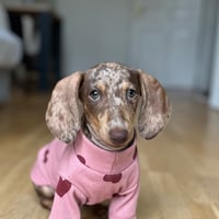 Ellie