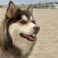 Kona