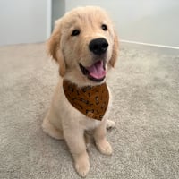 Ralphie